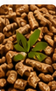 Biomass pellets with leaves